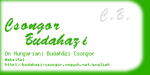 csongor budahazi business card