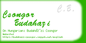 csongor budahazi business card